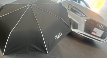 雨の日に大活躍🐸折り畳み傘☔