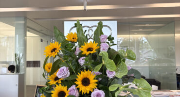 今週のお花🌻