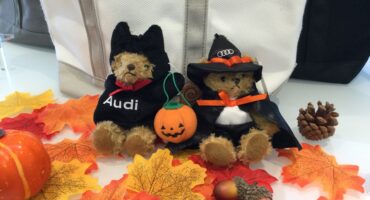 マイスターベア🎃