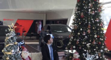 クリスマスツリー登場☃️