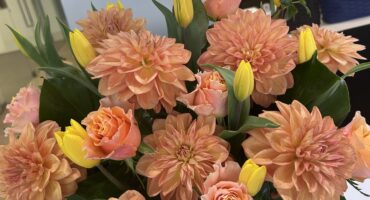 今週のお花💐