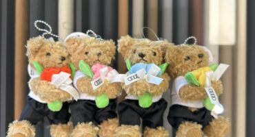 Audi collection-マイスターベア🧸-